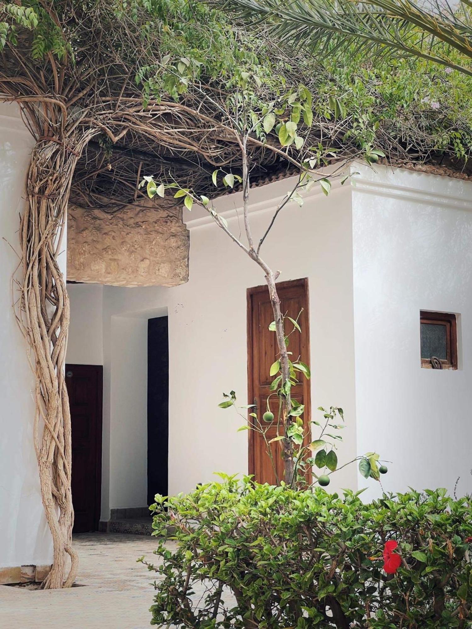אסאוירה Chateau D'Orient מראה חיצוני תמונה